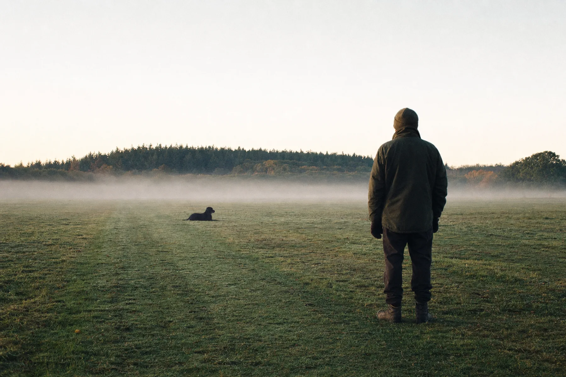 A dog holding a long down-stay in a misty field while its handler stands at a distance.